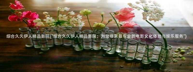 伊人久久影院网站：综合久久伊人精品影院(\