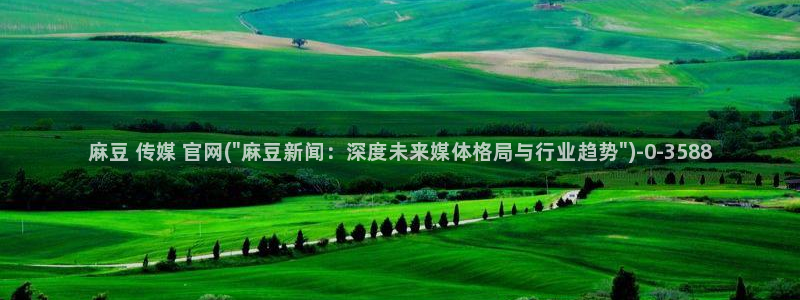 麻豆 入口下载：麻豆 传媒 官网(\