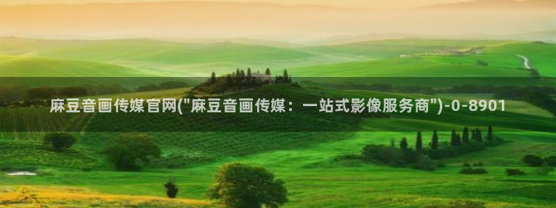 麻豆视频 专区页面：麻豆音画传媒官网(\