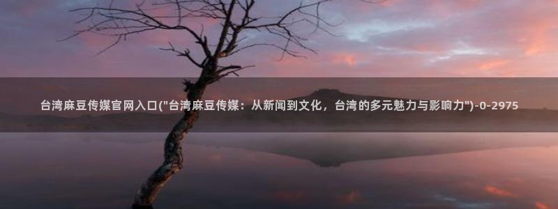 麻豆视频 入口页面：台湾麻豆传媒官网入口(\