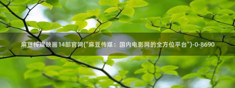 麻豆视频精选视频：麻豆传媒映画14部官网(\