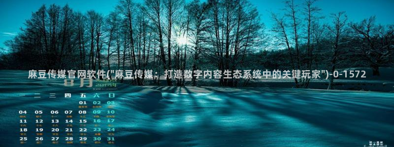 麻豆视频 图集更新：麻豆传媒官网软件(\