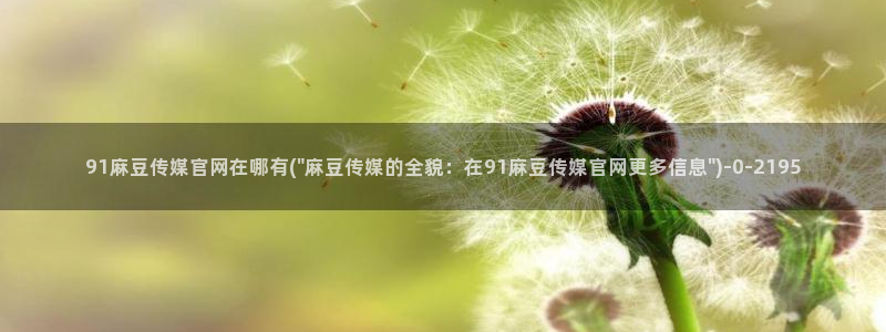麻豆视频下载入口：91麻豆传媒官网在哪有(\