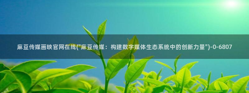 麻豆视频最新导航：麻豆传媒画映官网在线(\
