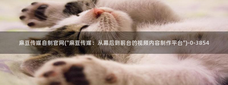 麻豆下载推荐：麻豆传媒自制官网(\