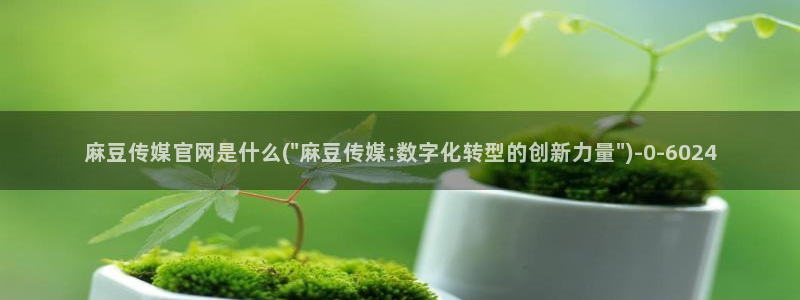 麻豆 更新合集：麻豆传媒官网是什么(\