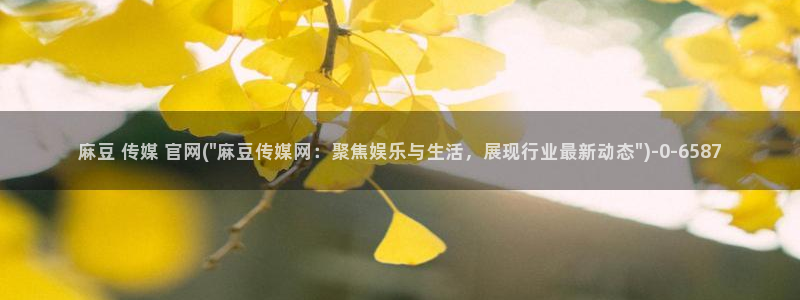 麻豆视频 下载推荐：麻豆 传媒 官网(\