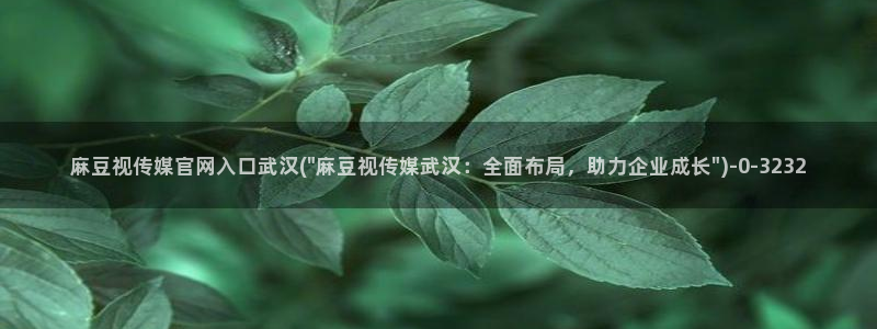麻豆视频：麻豆视传媒官网入口武汉(\