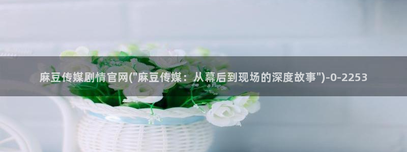 麻豆视频高清资源：麻豆传媒剧情官网(\