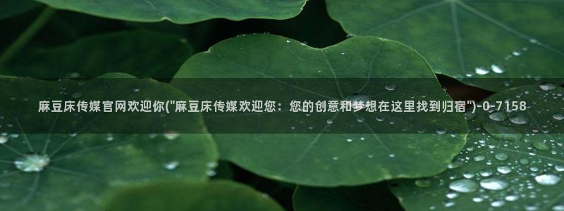 麻豆导航：麻豆床传媒官网欢迎你(\