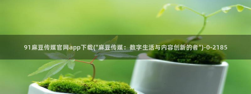 麻豆高清资源：91麻豆传媒官网app下载(\