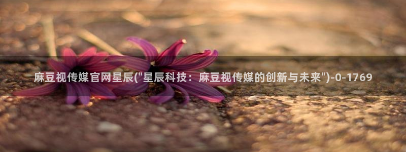 麻豆视频最新在线看：麻豆视传媒官网星辰(\