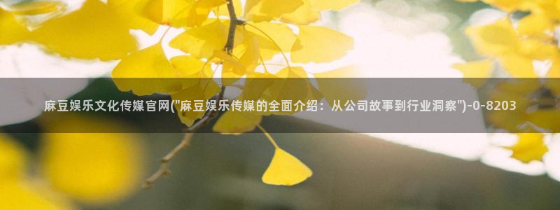 麻豆视频资源最新：麻豆娱乐文化传媒官网(\