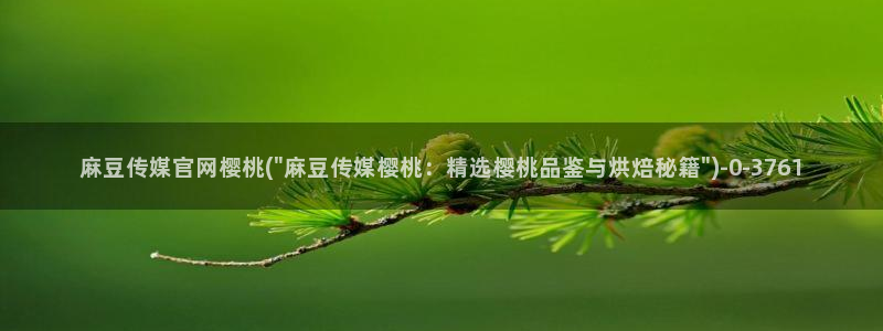 麻豆视频 系列页面：麻豆传媒官网樱桃(\