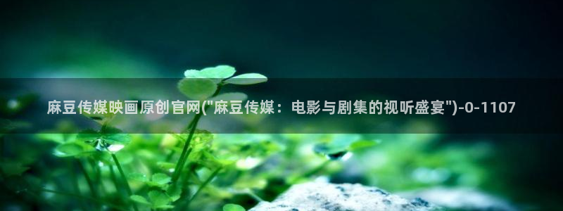 麻豆视频 在线看视频