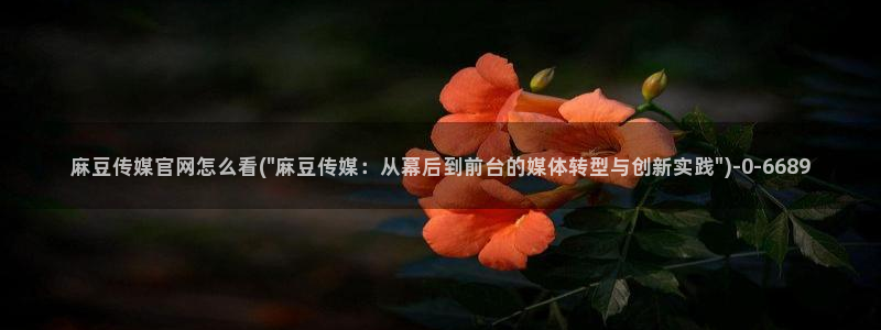 麻豆视频推荐专区