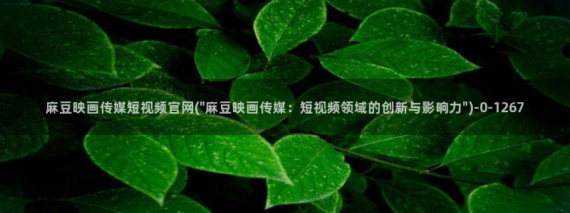 麻豆视频官方页面